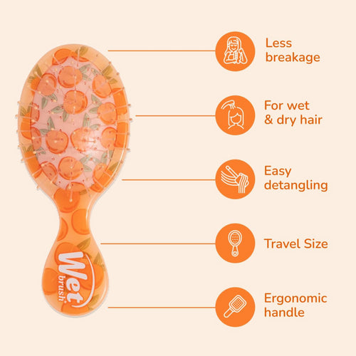 Wet Brush Mini Detangler