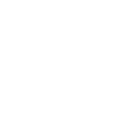 hair-pinns-logo-white
