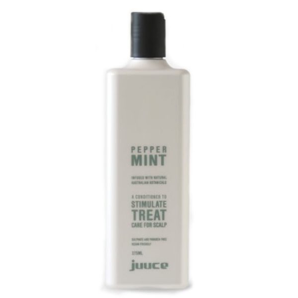 Juuce Peppermint Conditioner Old